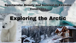 Facts About Arctic Wildlife | Survival In The Extreme Conditions Of Arctic