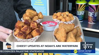 Cheesy Updates at Noah's Ark Waterpark