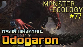 Monster Ecology ประวัติ Odogaron