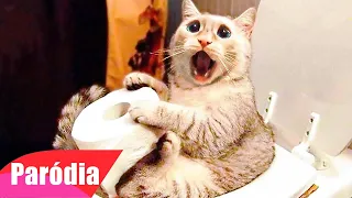 VIDEOS ENGRAÇADOS DE ANIMAIS 3 - TENTE NÃO RIR | PARÓDIA