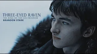 (GOT) Brandon Stark: THREE-EYED RAVEN