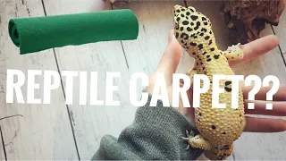 Pros and Cons of Reptile Carpet for Leopard Geckos | Leopard Gecko Substrate Series Part 1