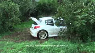 10° Rallylegend 2012 Peugeot 206 (Snichelotto & Veller) shakedown crash.