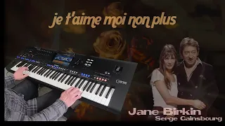 Je t'aime moi non plus  -  Jane Birkin cover