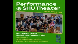 Norwalk Gamer Symphony Orchestra at the Sacred Heart University Community Theatre