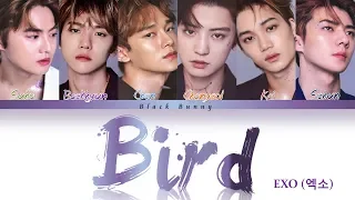 EXO (엑소) - BIRD (Color Coded Lyrics Kan/Rom/Eng/歌詞)