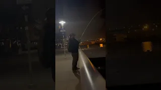 Catching a fish while getting harassed by security!                     #fishing #shorts #funny