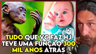 COMO A PSICOLOGIA EVOLUTIVA EXPLICA TODOS SEUS COMPORTAMENTOS ATUAIS | Lutz Podcast