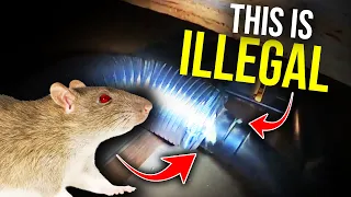 Get rid of RATS FAST!..SEWER RATS entering through ILLEGAL repair!!