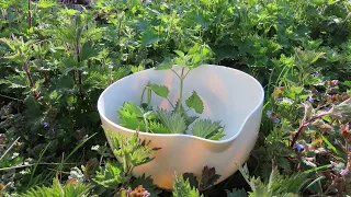 Top three ways to use stinging nettles, including nettle soup