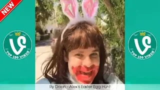 Happy Easter Egg Hunt 2018, Bunny, Candy April Vines Compilation | TRY NOT TO LAUGH April 2018