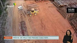 Multas ambientais caem 93% durante governo Bolsonaro