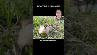 Don't be a lemming