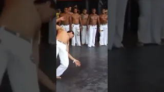 Capoeira é luta sim senhor #capoeira #bomdiacapoeira #ufc #artemarcial