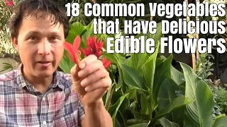 18 Common Vegetables that Have Delicious Edible Flowers