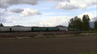 CN 354 (Mixed) @ Matsqui Jct. BC 26APR14 SD70M-2 8802 Leading