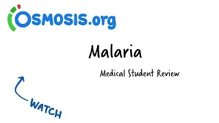 Malaria | Osmosis Study Video