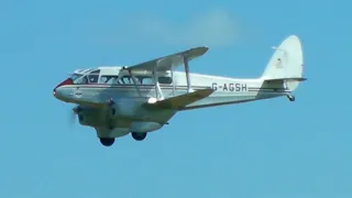 DeHavilland DH89 Dragon Rapide - BEA