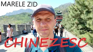 MARELE ZID CHINEZESC (part. 1) 18.04.2024