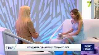 Международная выставка кошек