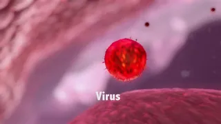 How do Viruses Reproduce, How do Viruses Reproduce,How do Viruses Reproduce 0889905599