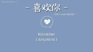 [中文|PINYIN|THAISUB] เพลงจีน 火鸡 cover陈洁仪 ▪︎《喜欢你》Xihuan ni