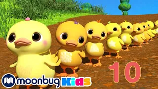 Ten Little Duckies - Sing Along | @CoComelon | Moonbug Literacy