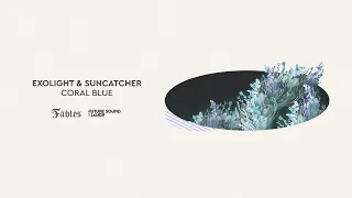 Exolight & Suncatcher - Coral Blue