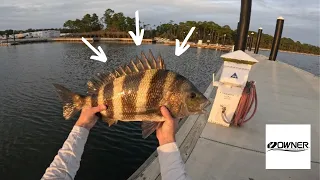 Catching GIANT **SHEEPSHEAD**  FISHING W/ {LIVE SHRIMP!!}