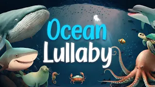 Goodnight Ocean Lullaby with Marine Animal Sounds | 1 Hour | Relaxing Sleep for Babies and Toddlers