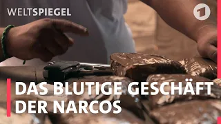 Wer sind die Narcos?  Einblicke in das blutige Business der Kartelle