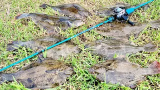 【Light Gaming】Fishing NZ Flounder On LYU Micro Softbait#AlbertFishOn#Handmade#LyuRod#鱼吕行#新西兰路亚钓比目鱼左口