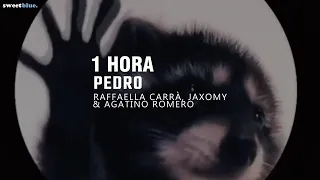 [1 HORA] la canción de pedro | PEDRO - Raffaella Carrà, Jaxomy, Agatino Romero (TikTok Remix)