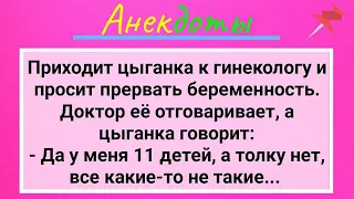 Многодетная Цыганка На Приеме У Гинеколога! Подборка Смешных Жизненных Анекдотов для Настроения!