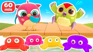 Baby cartoons & baby videos - Hop Hop the owl full episodes cartoons for kids - Toys and colors