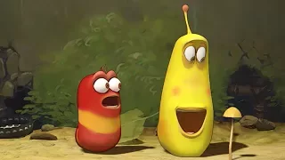 LARVA - MUSHROOM | 2017 Cartoon Movie | Videos For Kids | Kids TV Shows Full Episodes