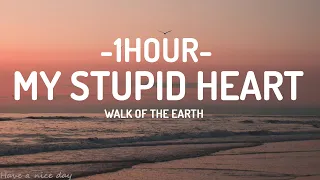 My Stupid Heart - Walk of Earth (Lyrics) [Kids Version] [1HOUR]