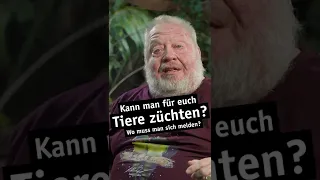 Hattet ihr auch schon Erfolg bei der Zucht? | Zoo Zajac | #shorts