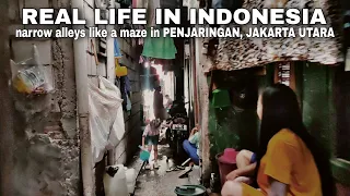 GANG-GANG SEMPIT SEPERTI LABIRIN di PENJARINGAN, JAKARTA UTARA Indonesia 🇮🇩 WALK TOUR SLUM JAKARTA