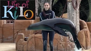 Tenerife Jungle Park Sea Lions Show