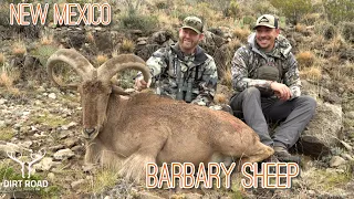 New Mexico Barbary Sheep Hunting at LOH Outfitters