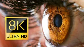 Ultimate Wild Animals Collection in 8K ULTRA HD / 8K TV #8k #animals #wildlife