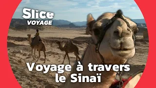 Égypte : les mille couleurs du Sinaï I SLICE VOYAGE