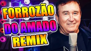 FORROZÃO DO AMADO BATISTA VERSÃO REMIX SELEÇÃO