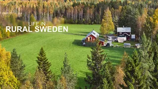 What's It Like Living In Rural Sweden?