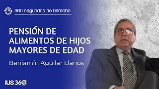 Pensión de alimentos de hijos mayores de edad | Benjamín Aguilar Llanos