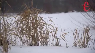 Прогноз погоди на 22 січня у Хмельницькій області