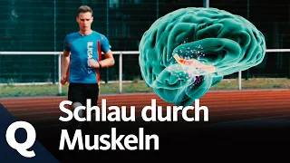 Warum Sport uns schlau macht und unser Gehirn fit hält | Quarks