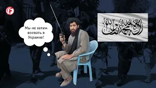 «Талибан»* выразил готовность воевать на стороне ЛНР и ДНР? Проверяем