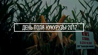 День поля кукурузы 2017